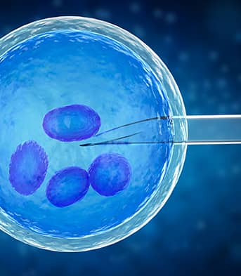 Инвитро - ИВФ / IVF